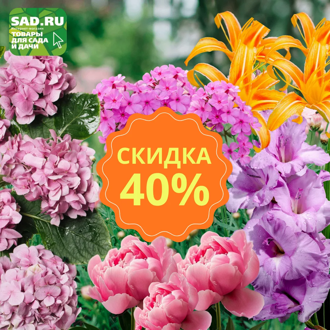 НЕ УПУСТИТЕ ВЫГОДУ
СКИДКА 40 % НА САЖЕНЦЫ ЦВЕТОВ! 
 
❤️Выбирайте любимые цветы по невероятно выгодно