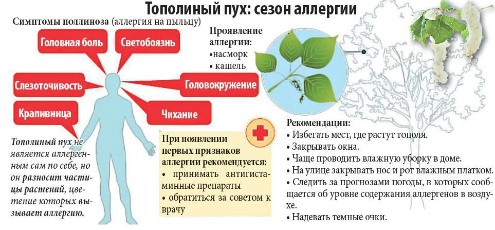 Июнь пришёл — с ним и тополиный пух 🌤️. Для многих это красиво, но он может стать причиной аллергич