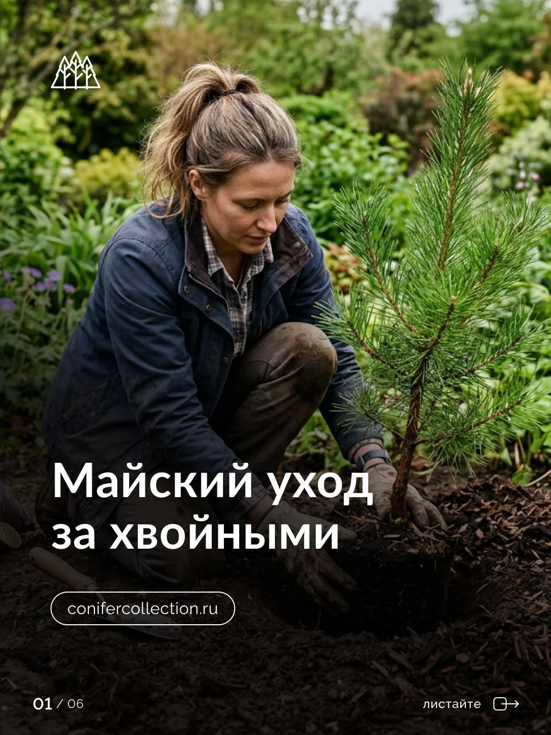 Май: не пропустите главное

В мае у хвойных самый активный рост за весь год. Что сделаете сейчас, на