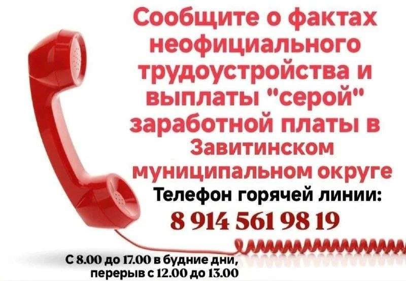 ⚡️В администрации Завитинского муниципального округа работает телефон «горячей линии» по вопросам не