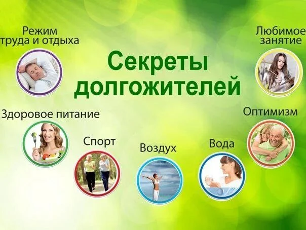 Министерство науки и высшего образования Российской Федерации сообщает о запуске Профильного Научно-