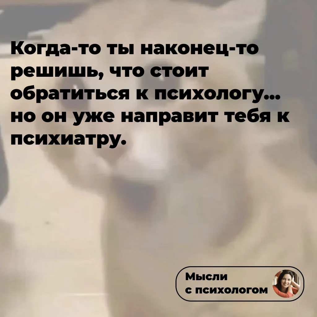🤣

👉 ссылка на мой блог
