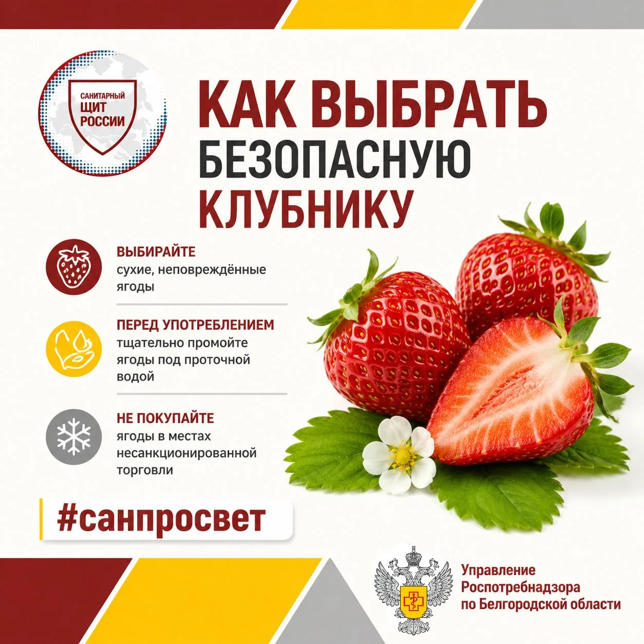 🌞 Лето, солнце, клубника! Но чтобы ягода принесла радость и пользу, выбирайте её правильно — вот не