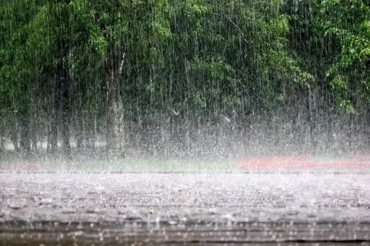 Сильные дожди ожидаются в Нижнем Новгороде 11 июня 🌧️
 
По данным ФГБУ «Верхне-Волжское УГМС», В бл
