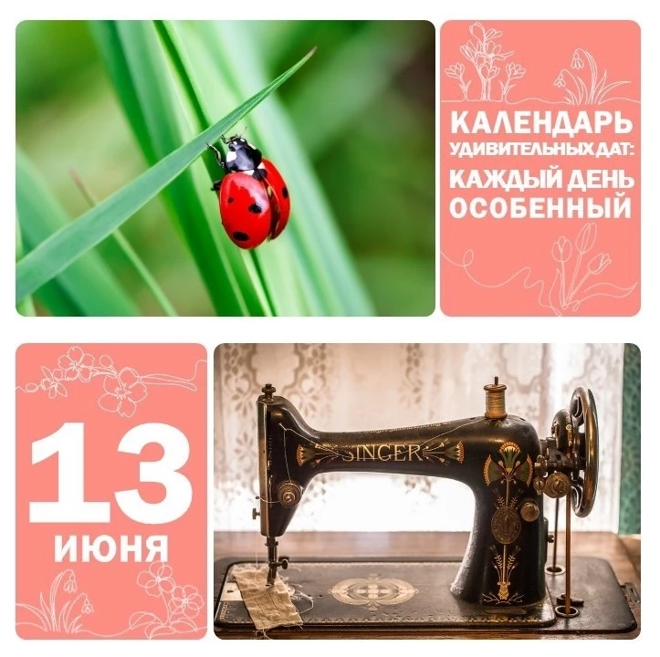 Братеево | Алма-Атинская | Зябликово | Москва🏡

📅 13 июня — День божьих коровок 🐞

Эти яркие насе