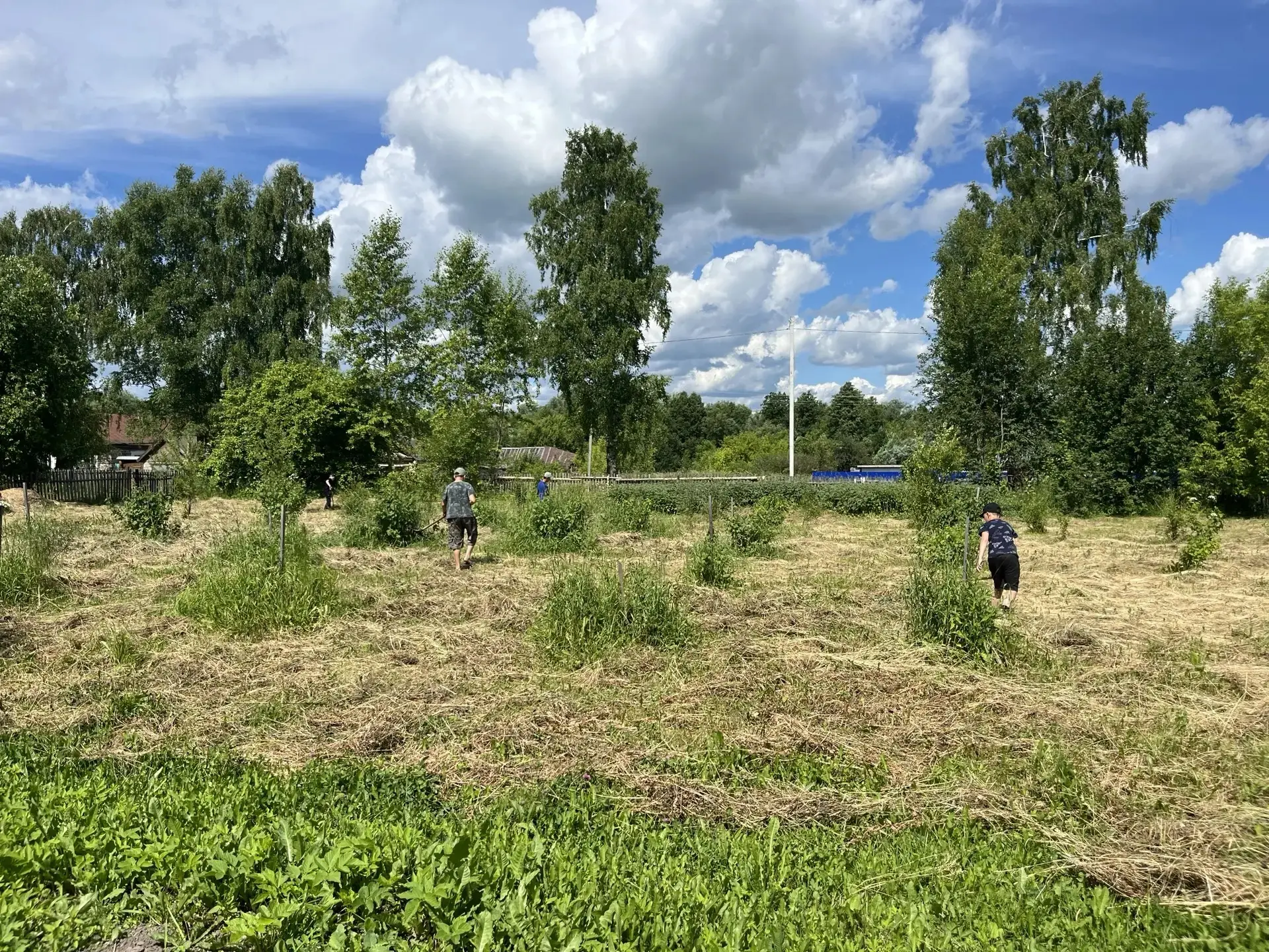 ☀️Сила в единстве: как мы вместе наводим порядок!

Лето — это не только время отдыха, но и пора отве