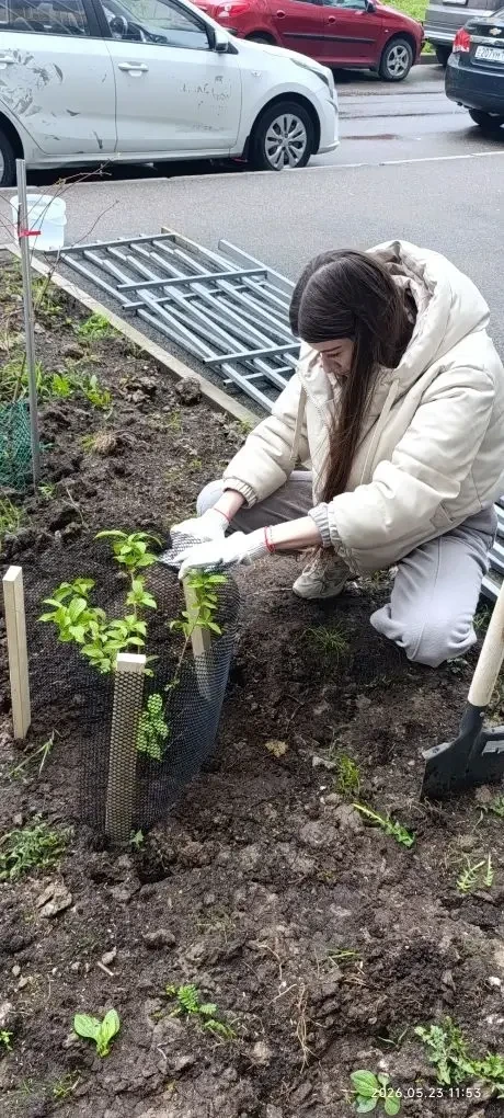 🌸 Уважаемые жители!

🌲 В минувшие выходные жители дома по адресу: ул. Пражская, д. 15, и представи