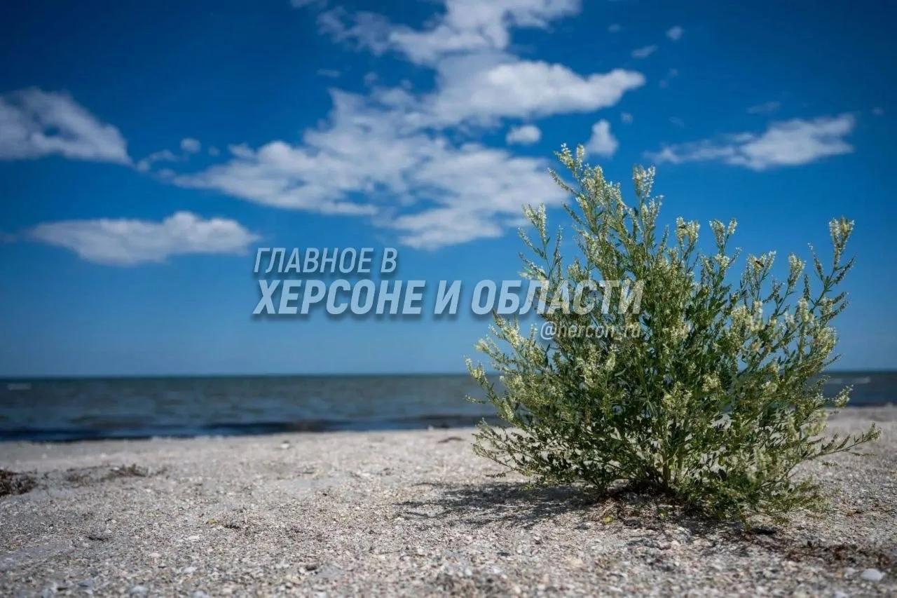 Красоты моря на Херсонщине

Тишина уходящего дня. Спокойствие морского берега и легкий бриз — идеаль