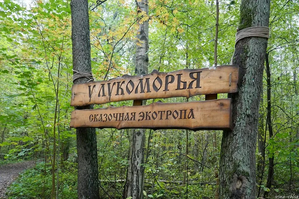 🌲 Экотропы Ленобласти: почему это идеальное приключение для дошкольника?

🌿Дорогие родители! Если 