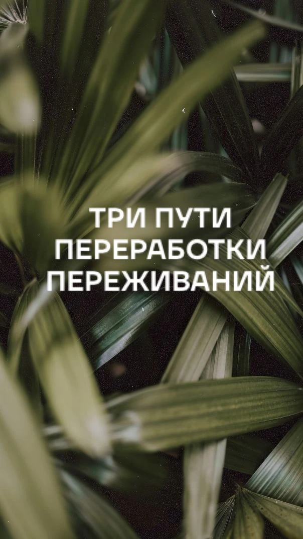С точки зрения аналитиков, есть три пути переработки переживаний, три уровня функционирования психик