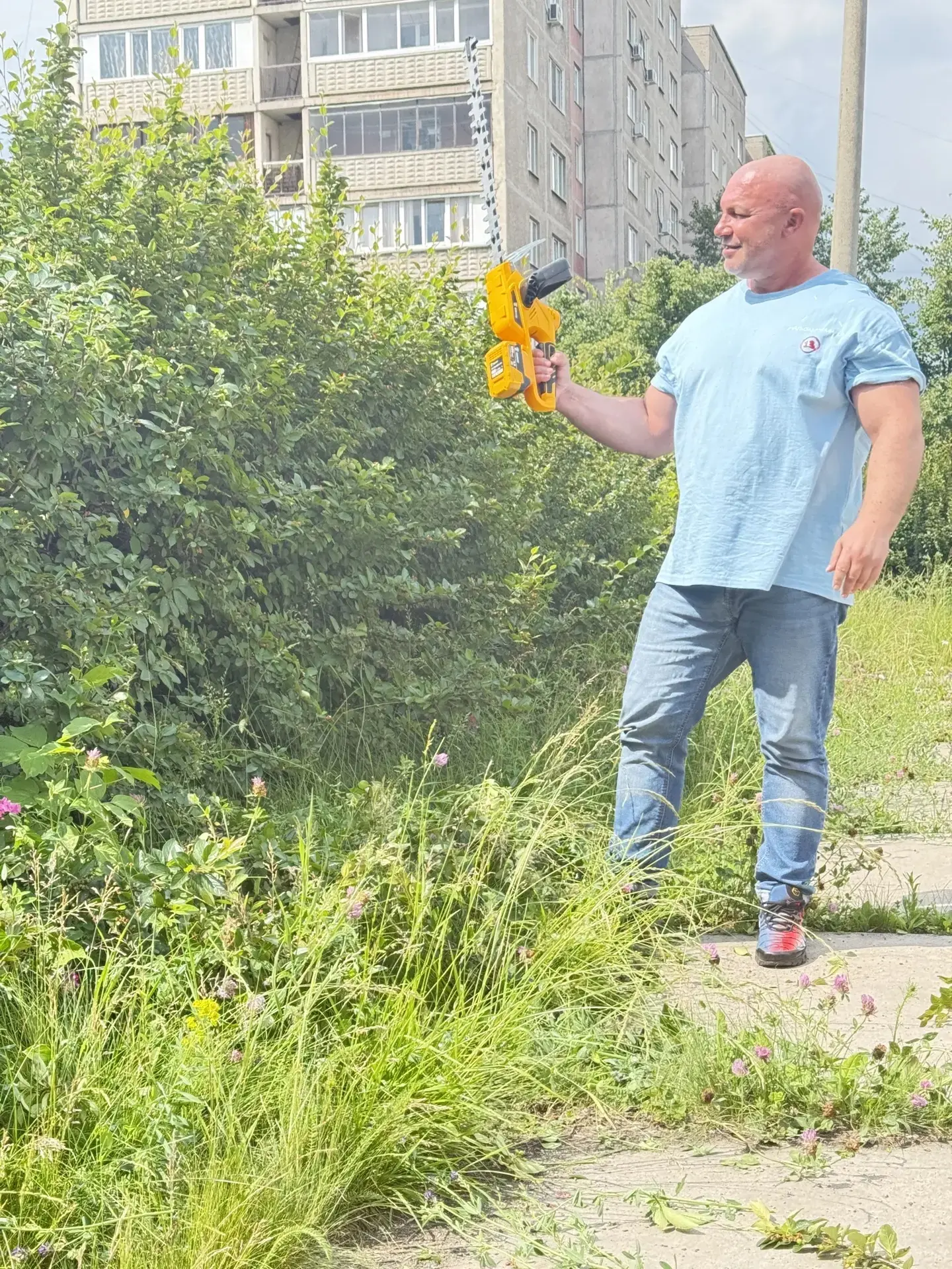 Лето ! Экзамены! Пока перерыв можно и облагородить кусты)