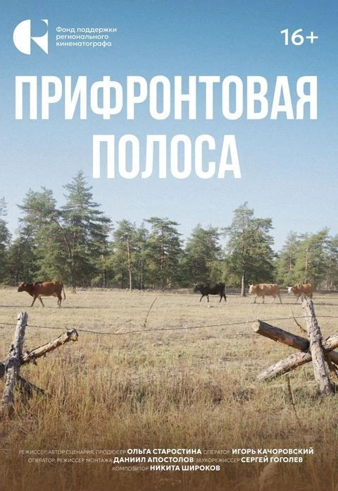 Только 31 мая  в  кинозале "Родина"  документальный   "Прифронтовая полоса"! 16+  Билеты уже доступн
