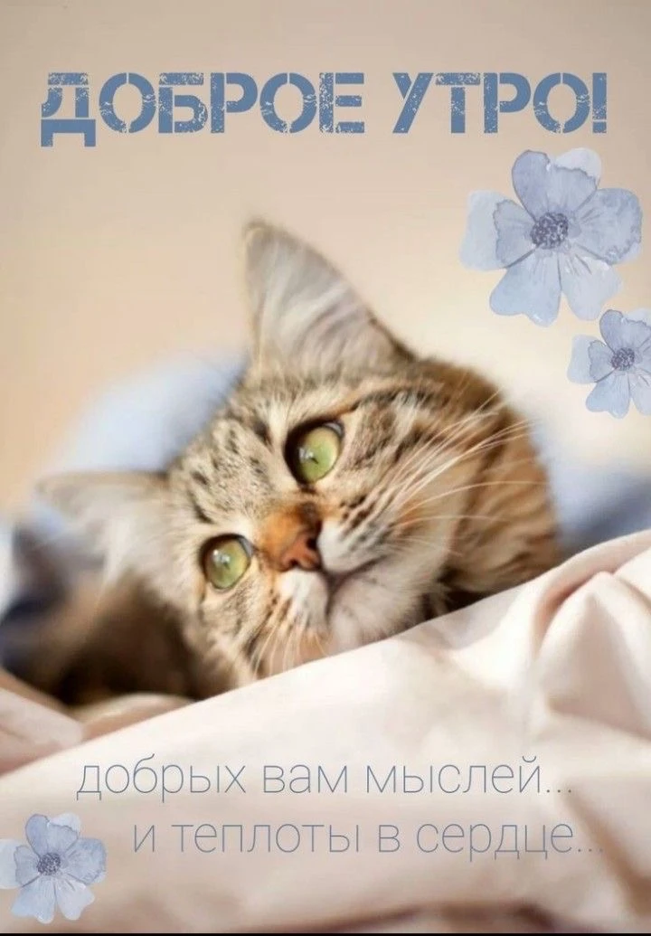 💖 Доброе утро!

Вторник приносит уверенный ритм недели и помогает сосредоточиться на самом важном.
