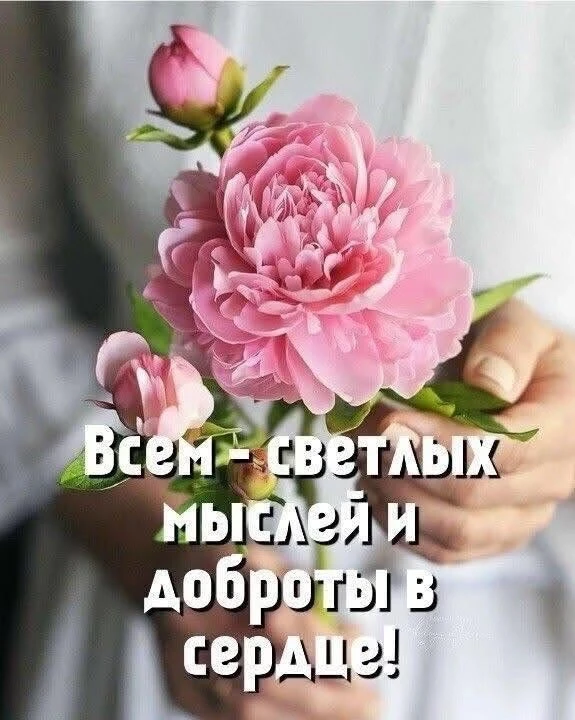 Открыточки с душой✨|👉Подписаться