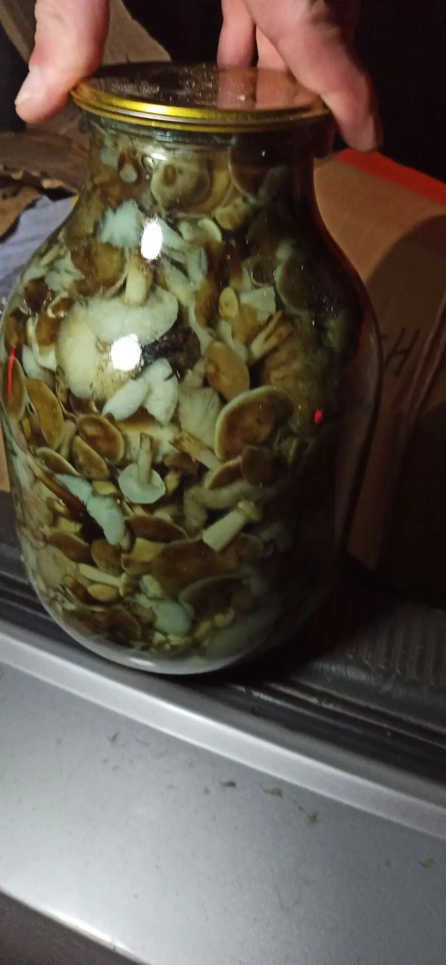 Маринованные грибочки новый урожай! Маслята,опята, рыжики, грузди 3л. банка- 2200р.
Подберезовики, п