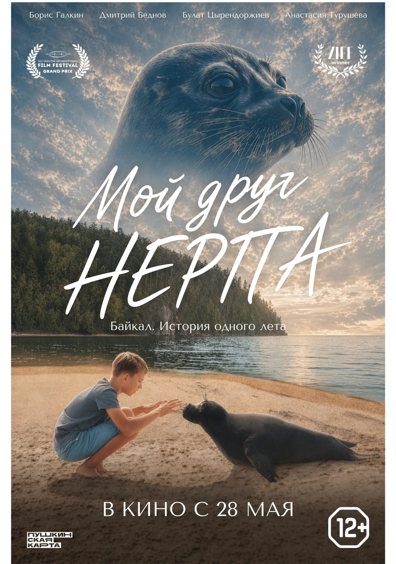 Смотрите в кинотеатре "Небо" 👁👁 с 28.05.2026 по 03.06.2026

📌11:00 «Мой друг нерпа» 🚛 (65 мин.)
