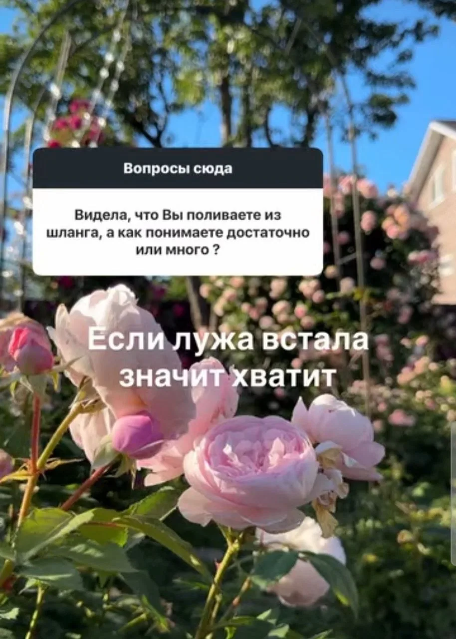 🌹Спрашивали?
Отвечаю😉