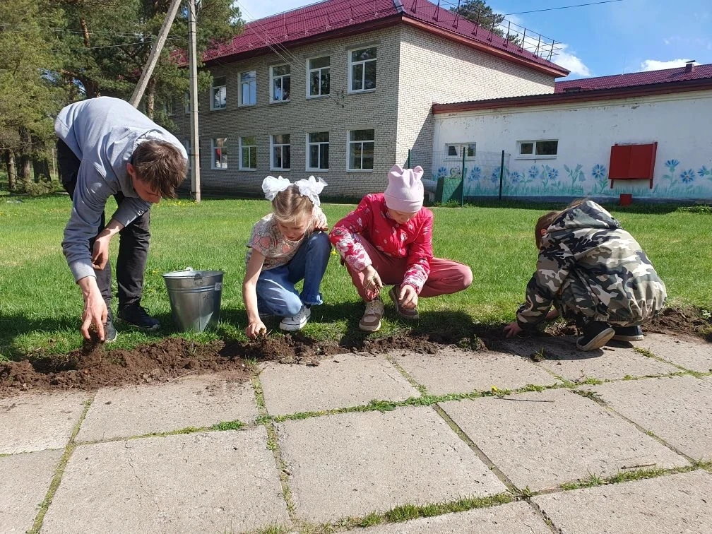 Вчера  на трудовой час  вышли сразу две группы - 3 и 9. Перекапывали и пропалывали дорожки вдоль шко