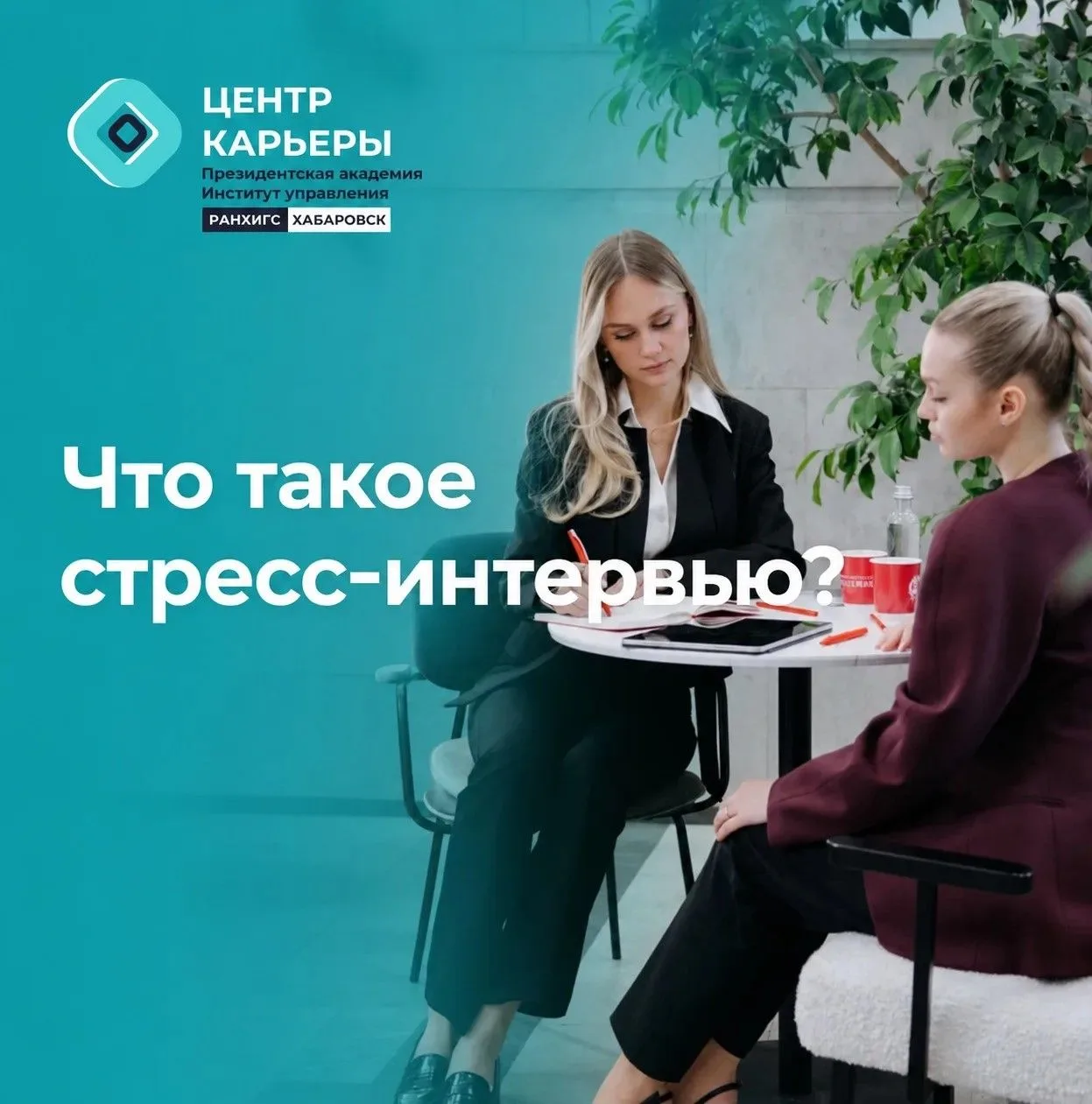 🤔 Что скрывается за провокациями на собеседовании?

Представьте, вы садитесь напротив HR-а, а он вм