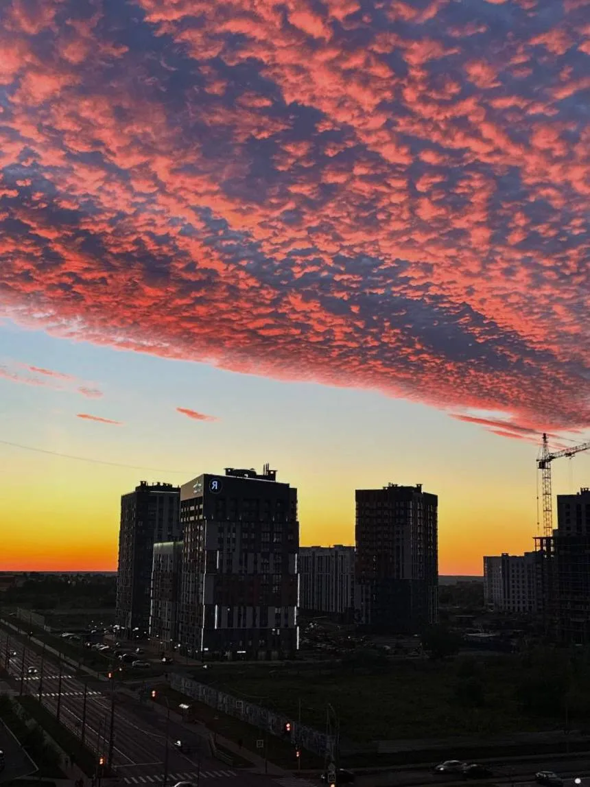 ⚡️ Спокойной ночи, Брянск!

🆘Мы в МАХ - max.ru/pb_O32