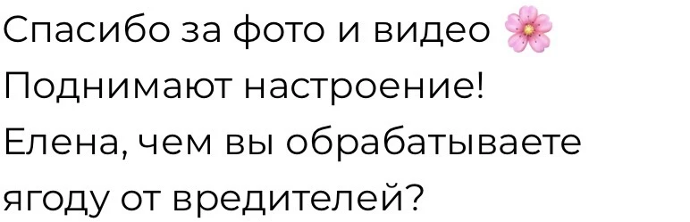 Я наверное ленивый садовод, потому что у меня нет никаких схем обработок🤷‍♀️ все проблемы решаю по 