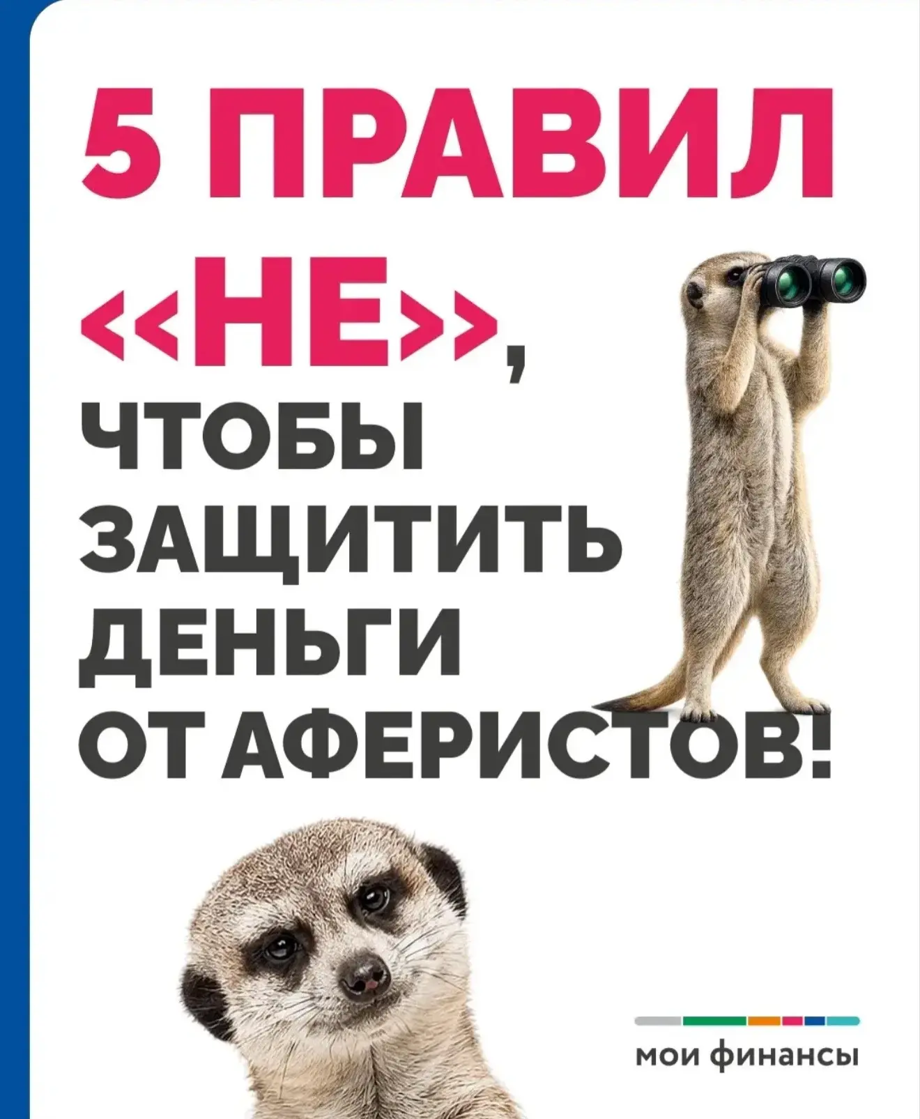 5️⃣ простых правил, которые точно обезопасят, если с вами связался мошенник ✅