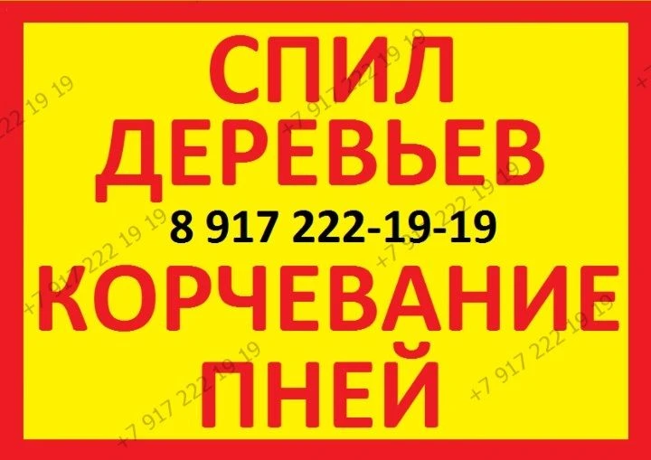 УДАЛЕНИЕ ПНЯ
                                                                                       