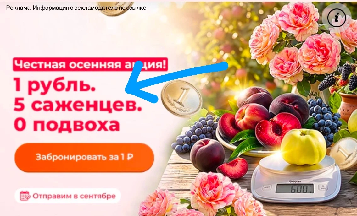 Саженцы за 1₽

Подробнее на сайте https://gardenmart24.ru/