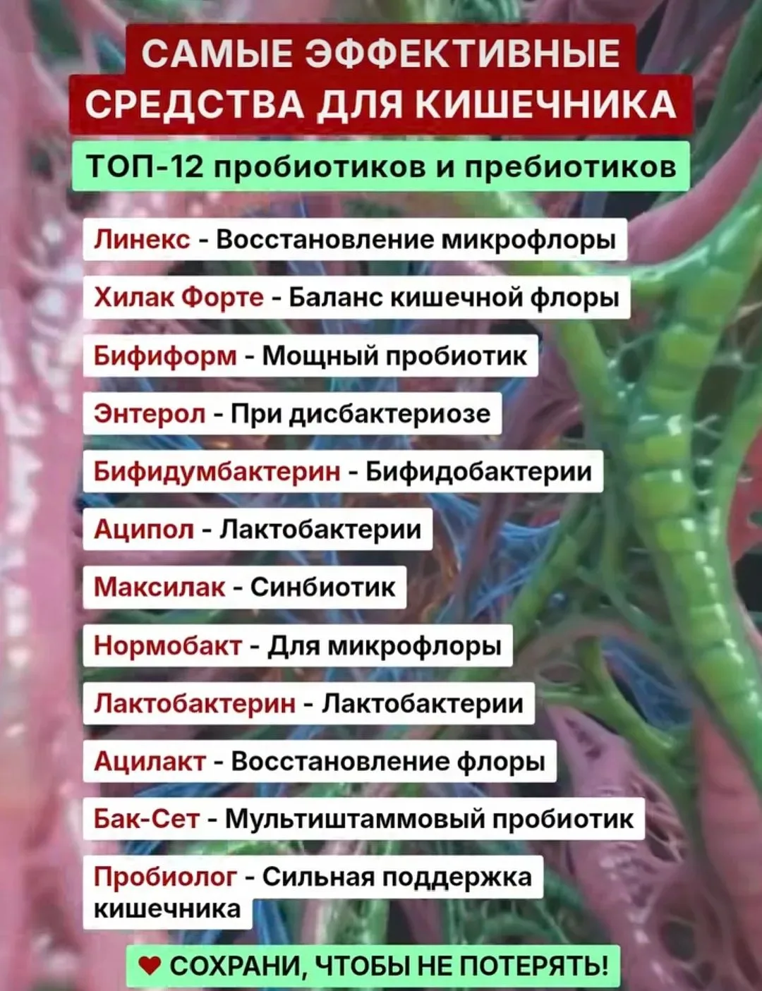 Самые эффективные средства для кишечника