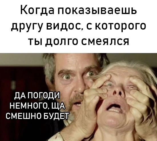 #мемы