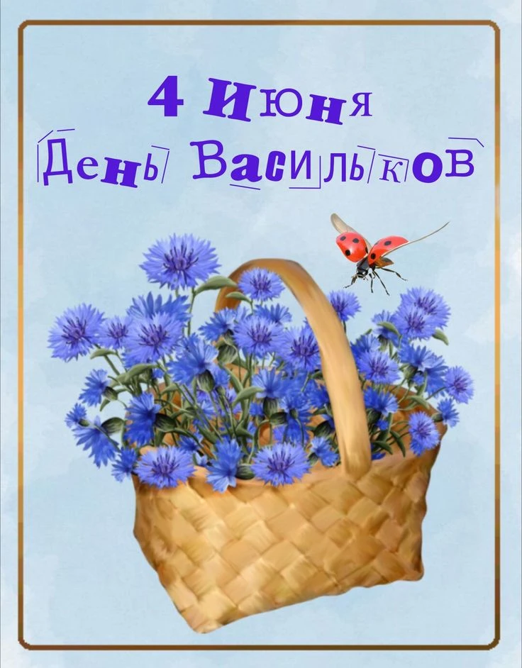 ВАСИЛЬКОВЫЙ ДЕНЬ! Сегодня в нашем детском саду прошел «День Василька-полевого цветка ». Васильковый 