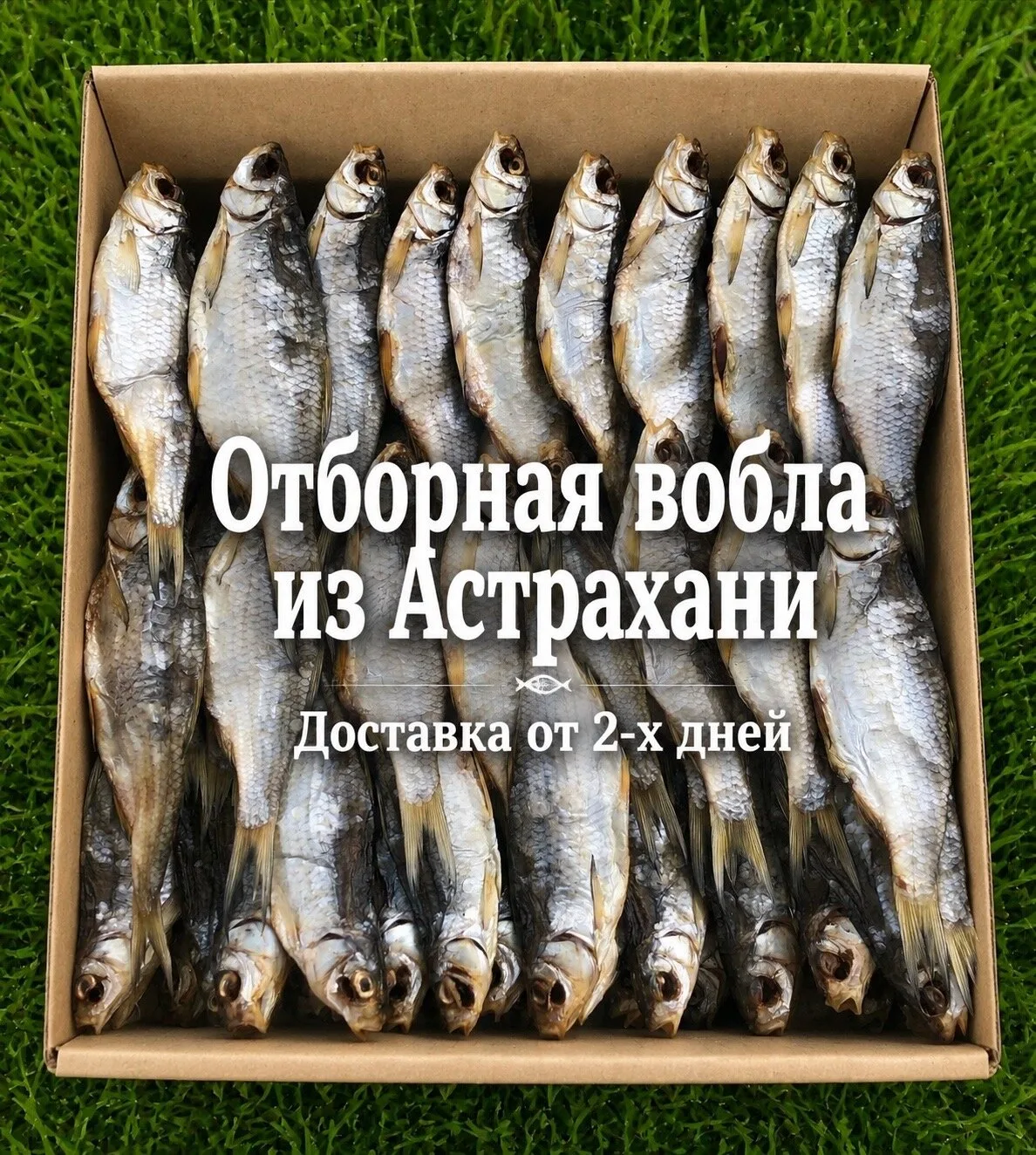 Вкусная вяленная рыбка! Дарим 1 кг рыбки в подарок!

✨ Поставка только прибыла! ✨
Ароматная вяленая 