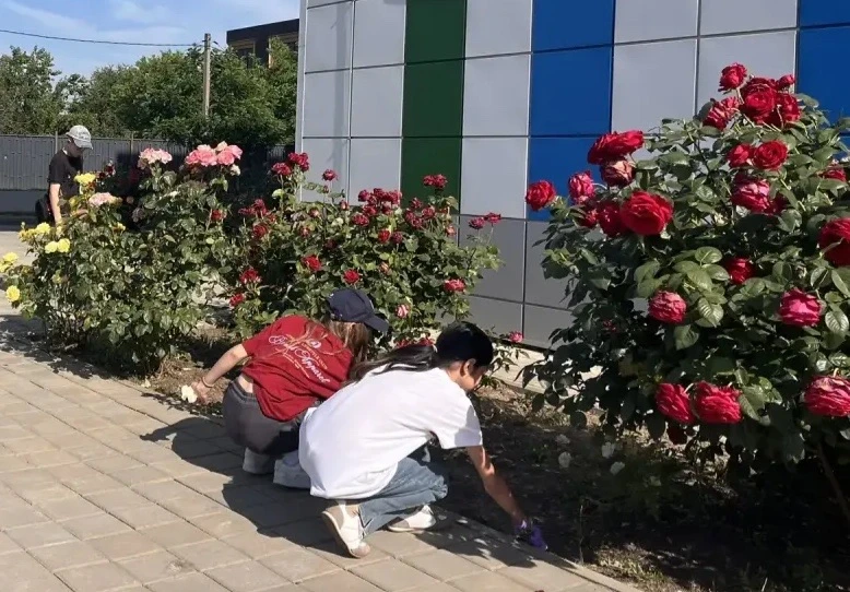 Экологический десант заботится о природе! 🌿

8 июня в рамках проекта «Школа интересных каникул» (ШИ