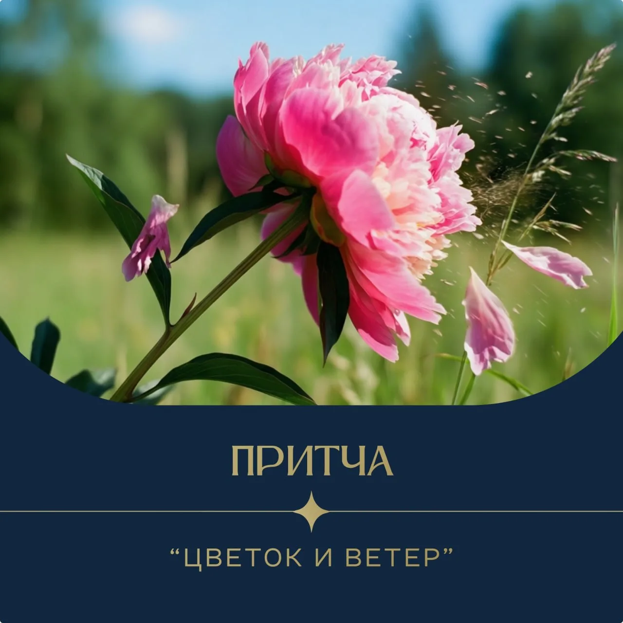 Притча "Цветок и ветер" ✨

Ветер встретил прекрасный Цветок и влюбился в него. Пока он нежно ласкал 