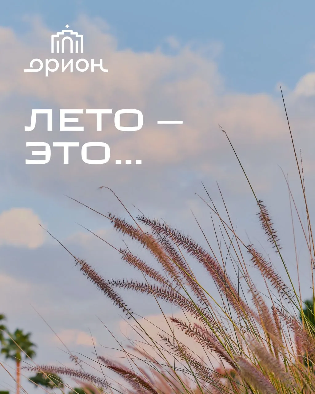 ☀️«Орион» официально берет шефство над летом, которое потом вы будете вспоминать, как любимый фильм.