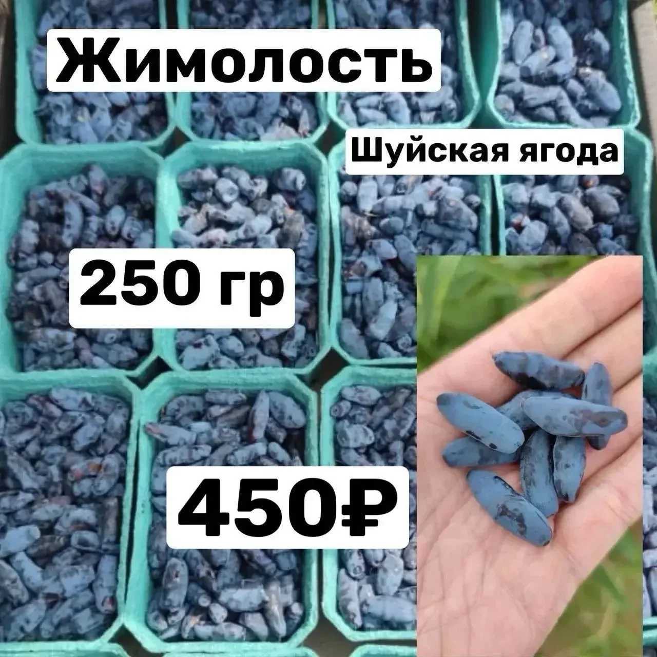 🍊🥑🍅🚚
Доброе утро !☕️ 
🇷🇺С Праздником Вас!🇷🇺
Мы продолжаем сбор 😋

Выдаем  уже СЕГОДНЯ 12 ию