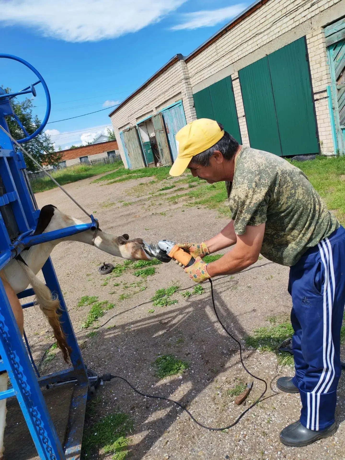 Забота о каждом шаге! 🐄

Специалисты ГБУ «Рыбно-Слободского РГВО» провели плановую ветеринарную обр