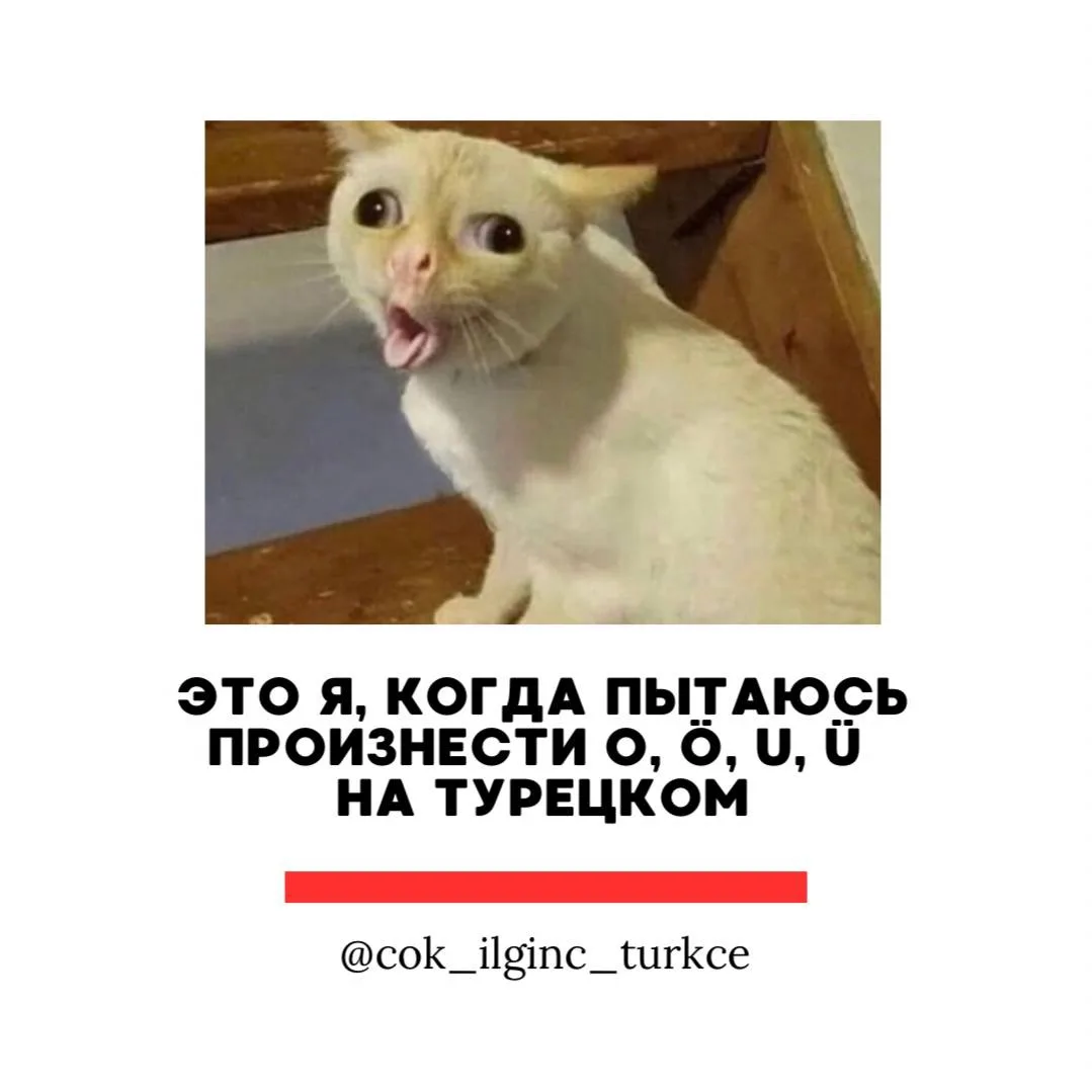 Немножко юмора 😁
Кто узнал себя?😂