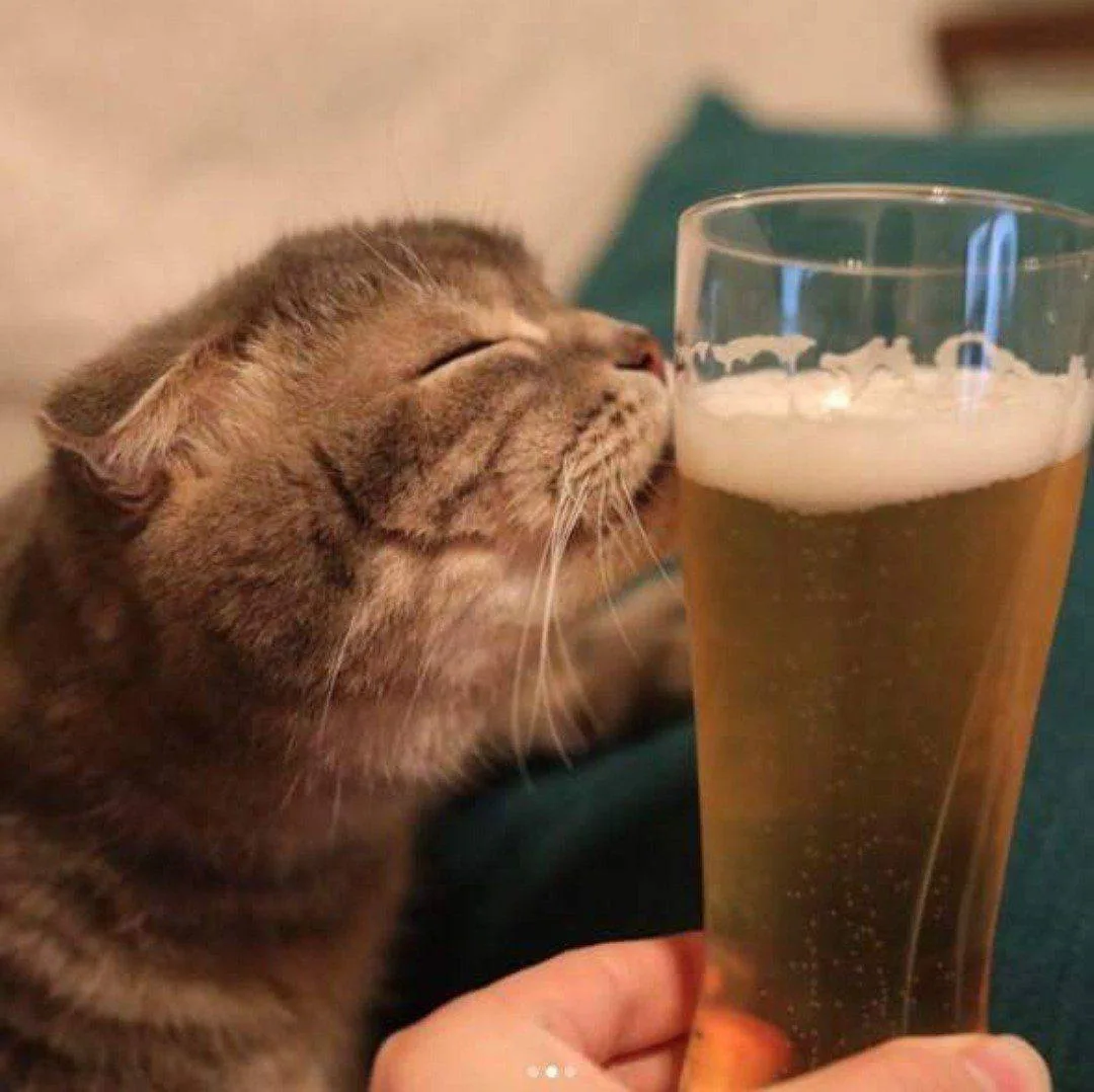 🍺 Россиян призвали отказаться от импортного пива.

Глава Роскачества Максим Протасов заявил, что мн