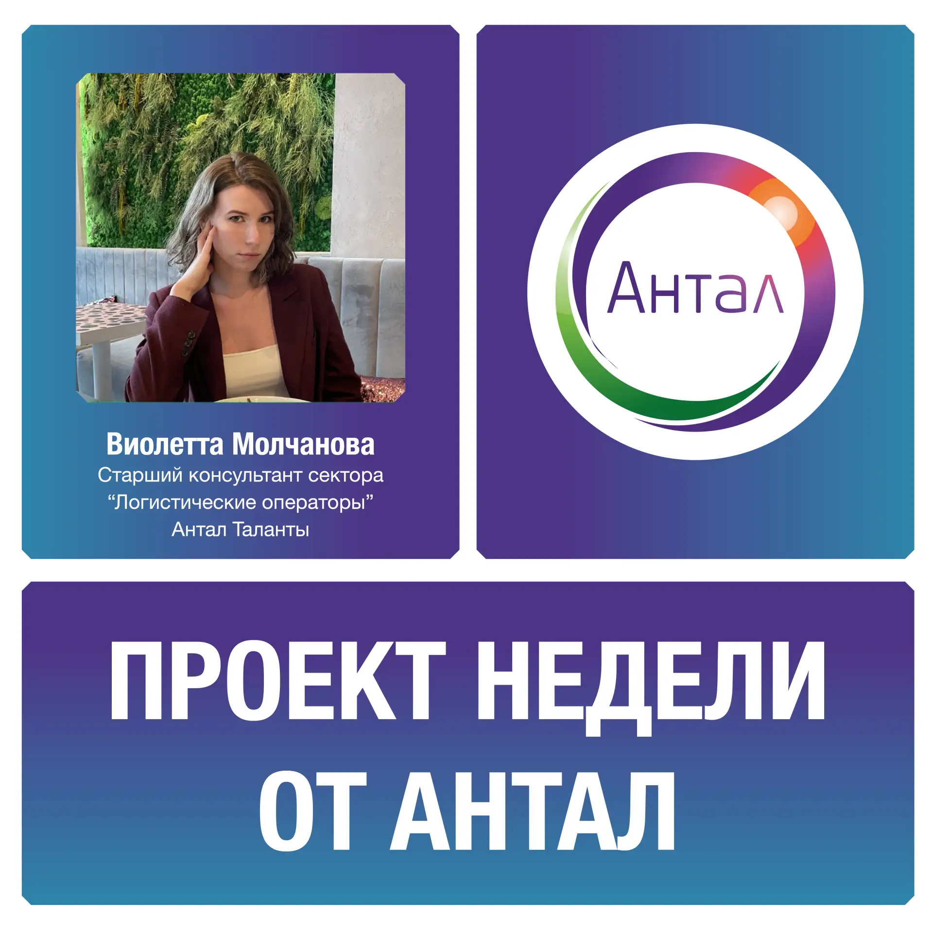 Мы продолжаем нашу рубрику «Проект недели от Антал».

Сегодня в выпуске - Виолетта Молчанова, старши