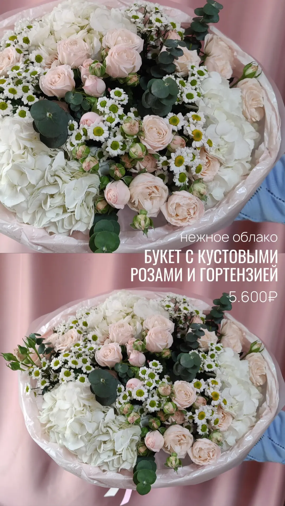 Цветок дня ГОРТЕНЗИЯ 🩵
это настоящий символ нежности!

💌 Интересные факты о гортензии:
— Цвет горт