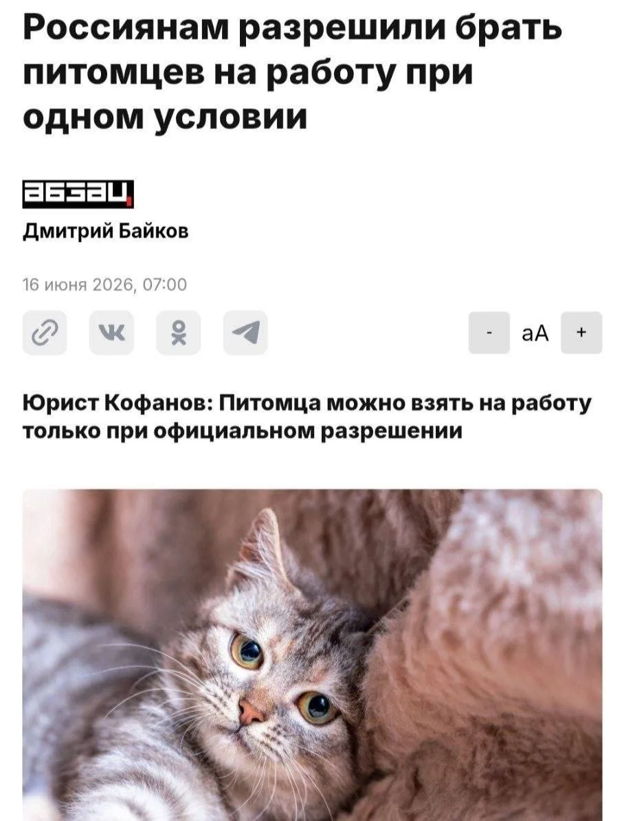 Россиянам разрешили официально приводить своих ПИТОМЦЕВ на работу.

Юристы поясняют: если в компании