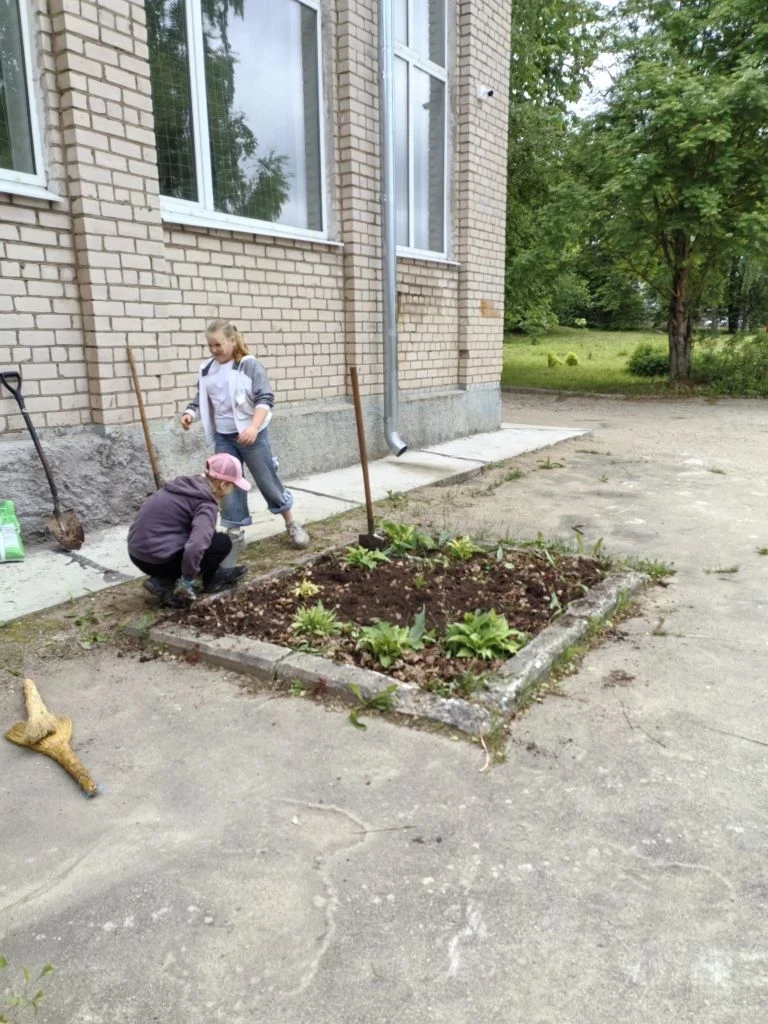 🥦🫜Агрокласс продолжает работу.

🌷Обработали клумбы, высадили однолетники- бархатцы, петунии. Пере