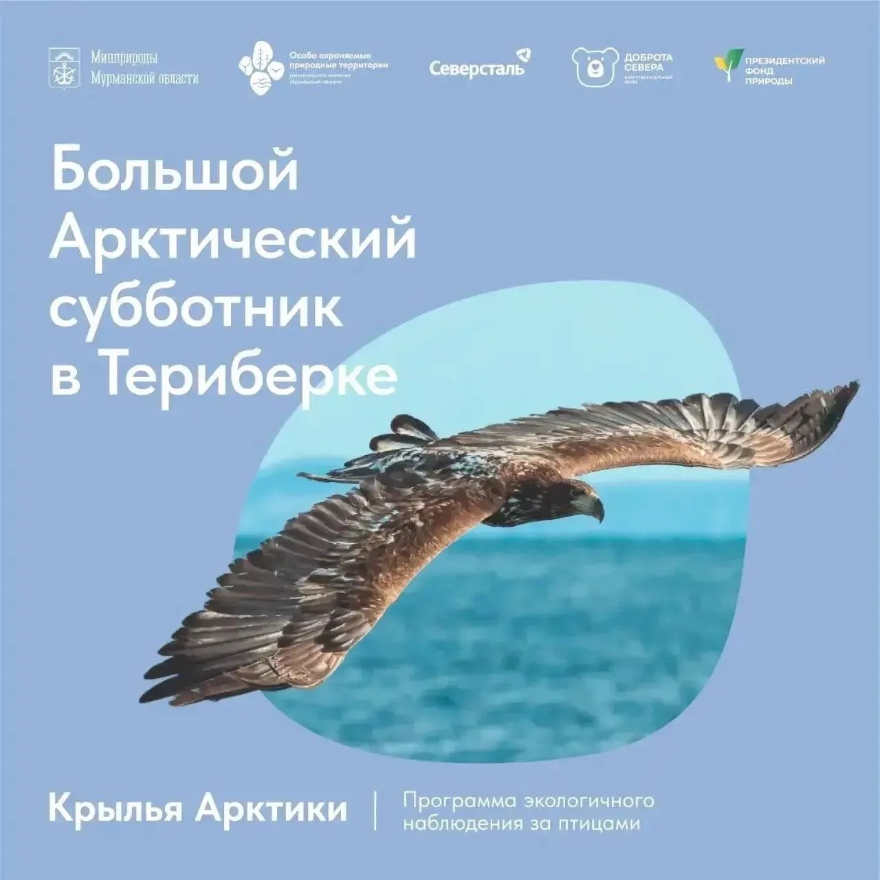 В Териберке вновь пройдет Большой Арктический субботник
 
🗓 30 мая в селе Териберка и на территории