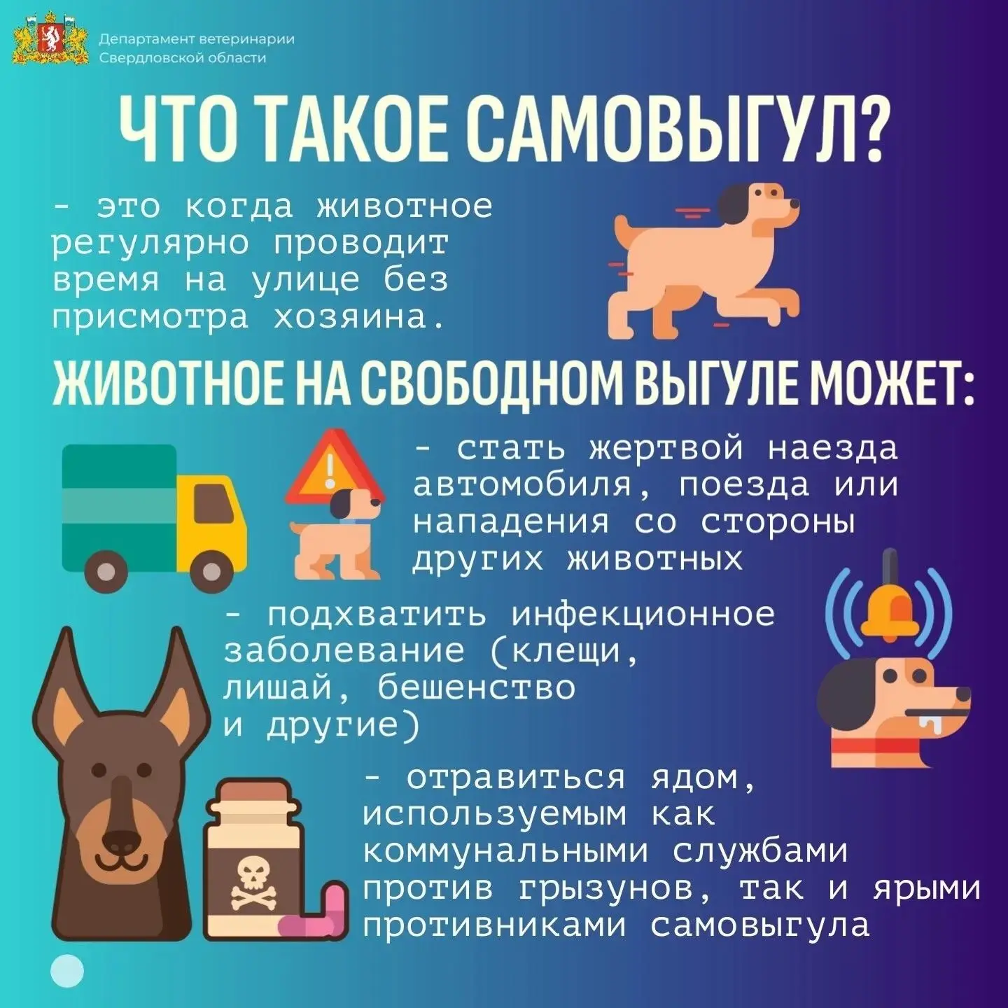 Самовыгул животных — это не свобода, а реальная опасность
«Пусть котик/собачка погуляет во дворе — н
