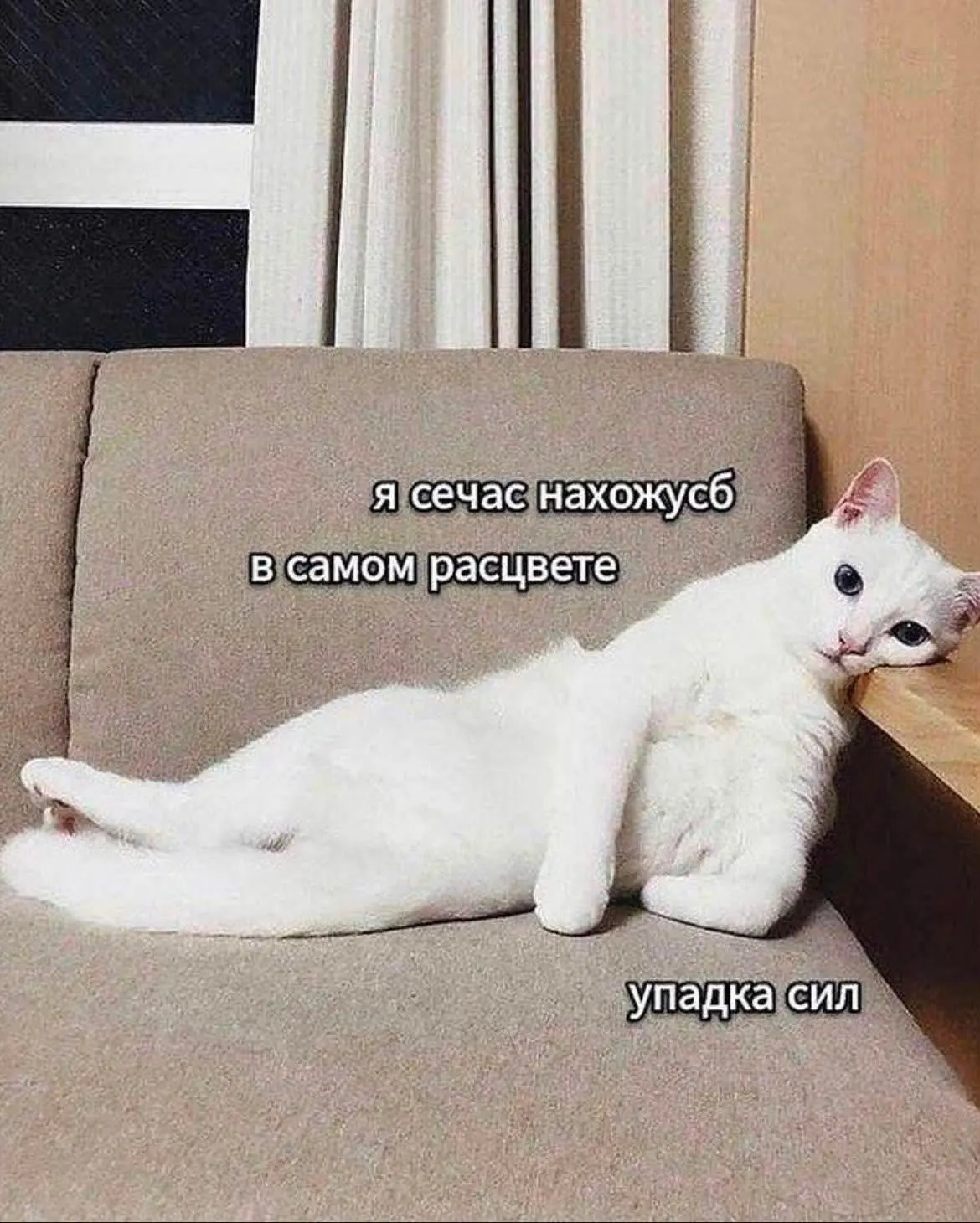 Сегодня вечером какие-то такие ощущения