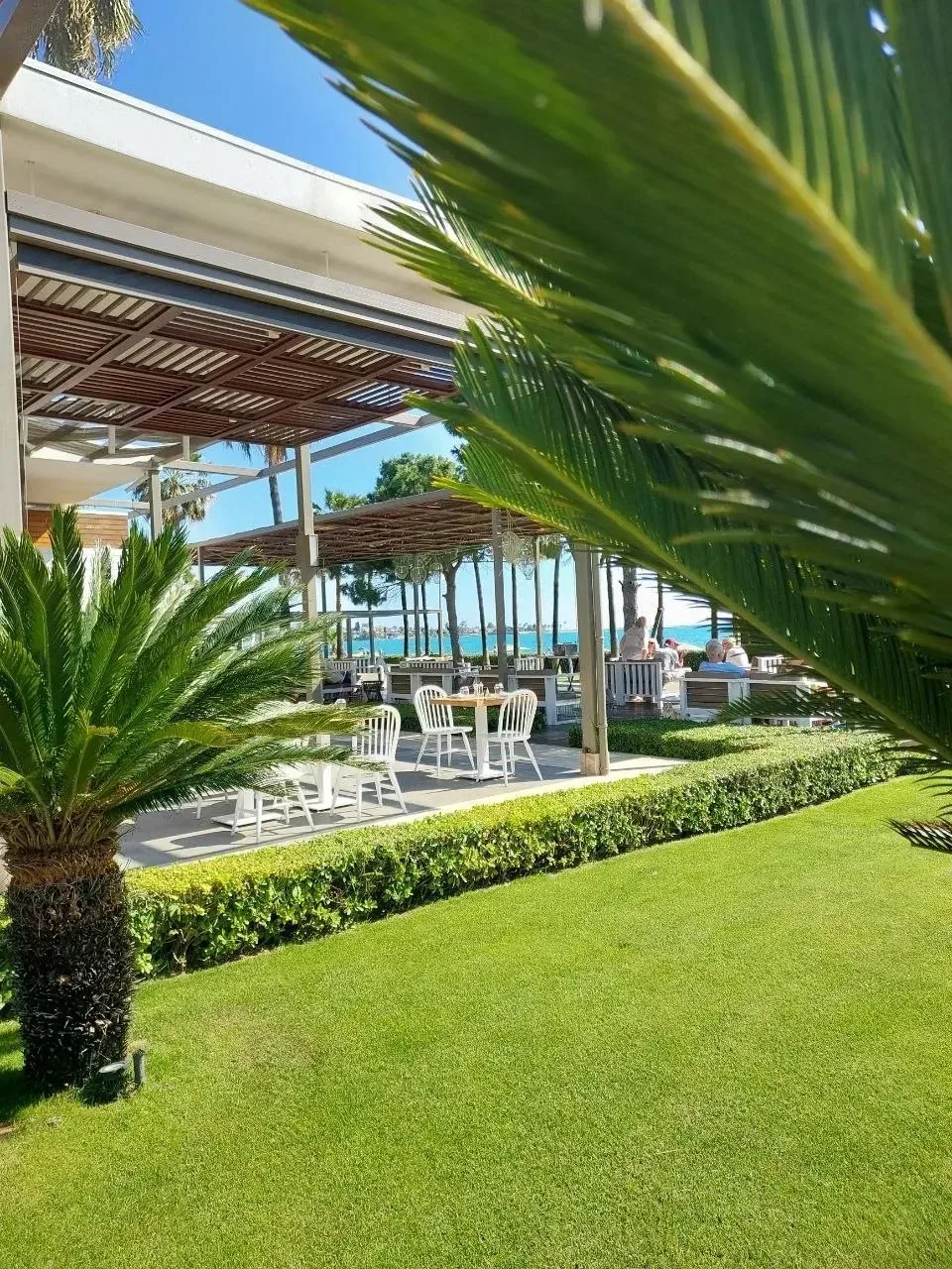 Турция, отель дня 🤩

📍ACANTHUS CENNET BARUT COLLECTION 5*

С этого отеля еще в прошлом веке начала