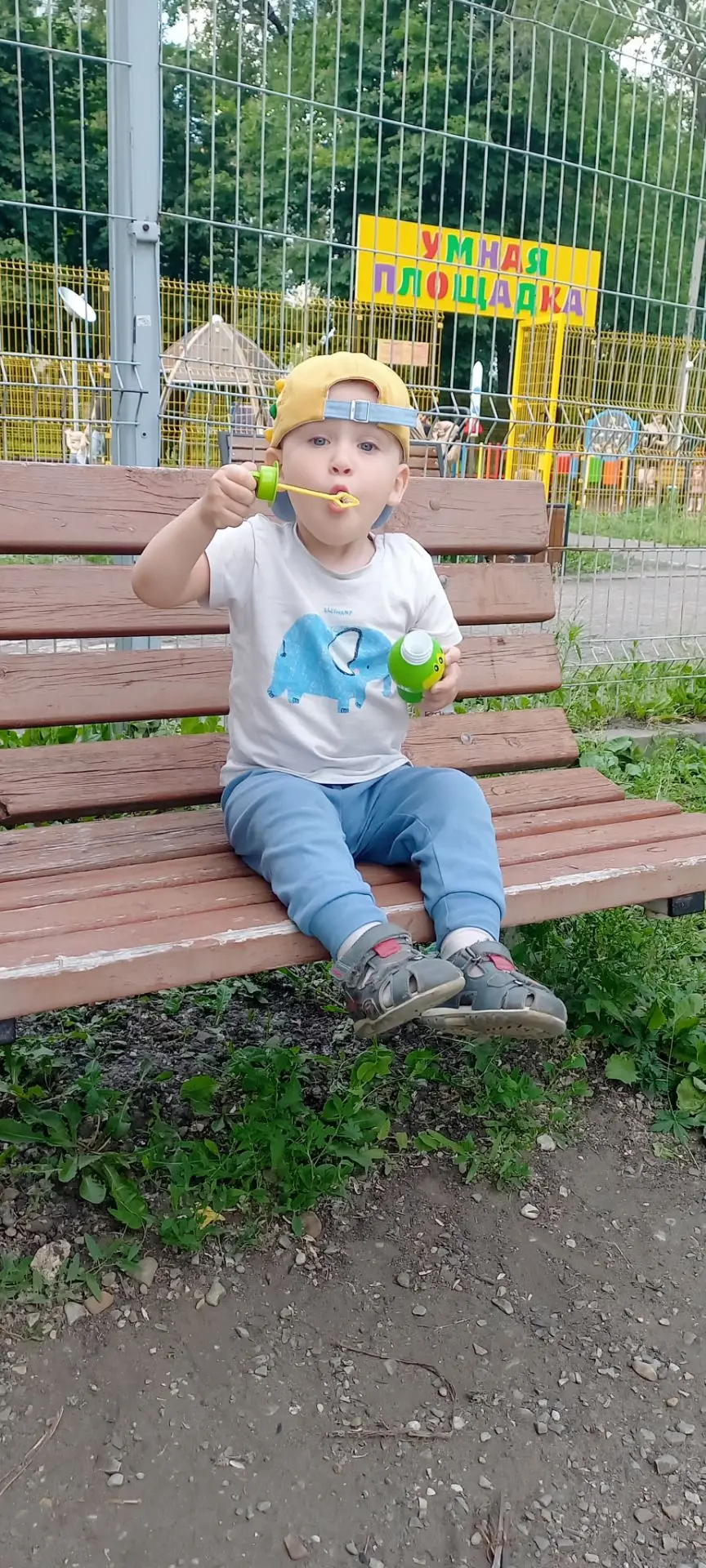 Сходили на днях в магазин Чижик!
Как обычно зашли за мороженкой( кстати оно там очень вкусное и недо