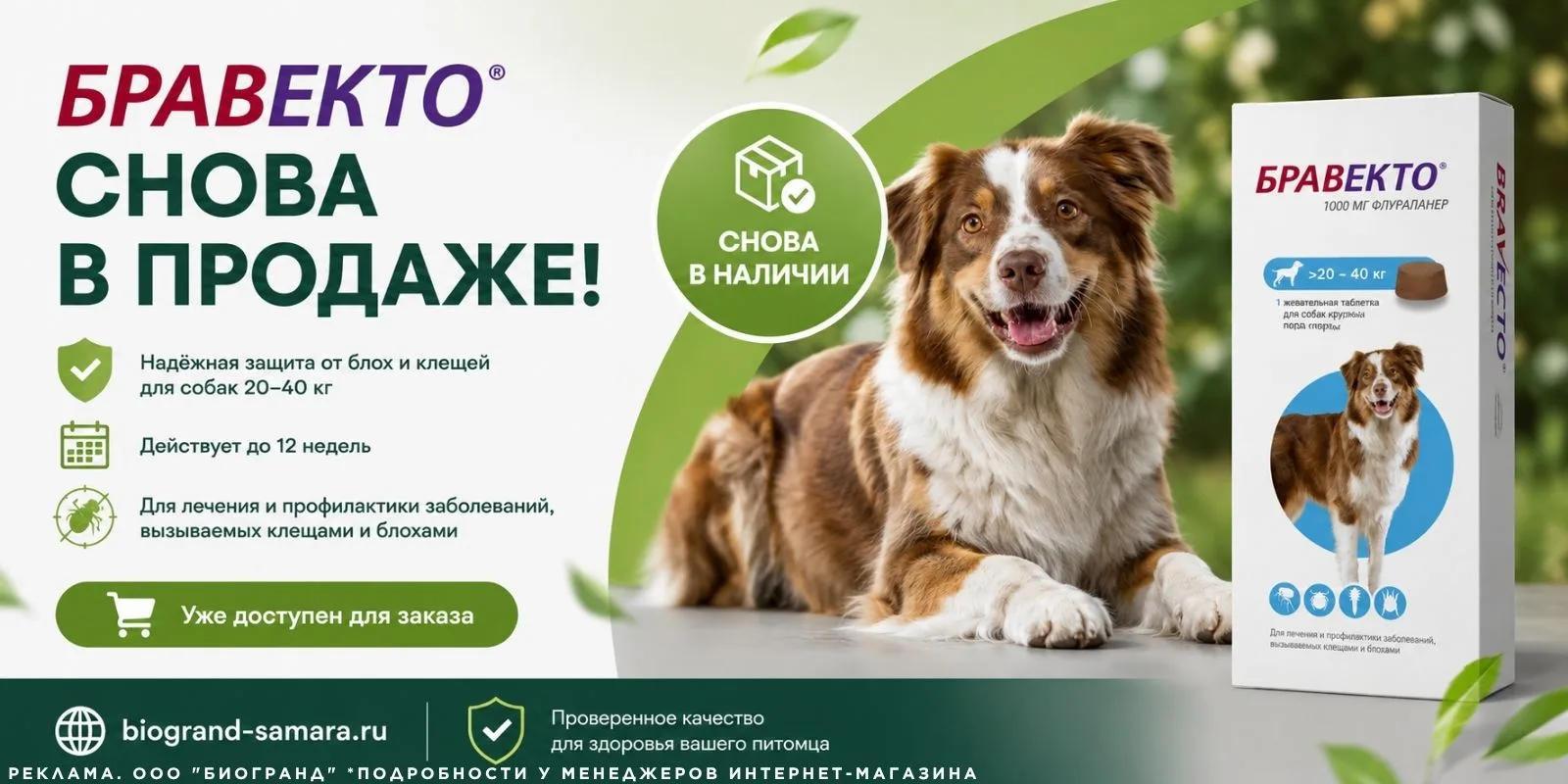 Многие ждали этого поступления — и оно наконец состоялось. Бравекто для собак весом 20–40 кг снова д