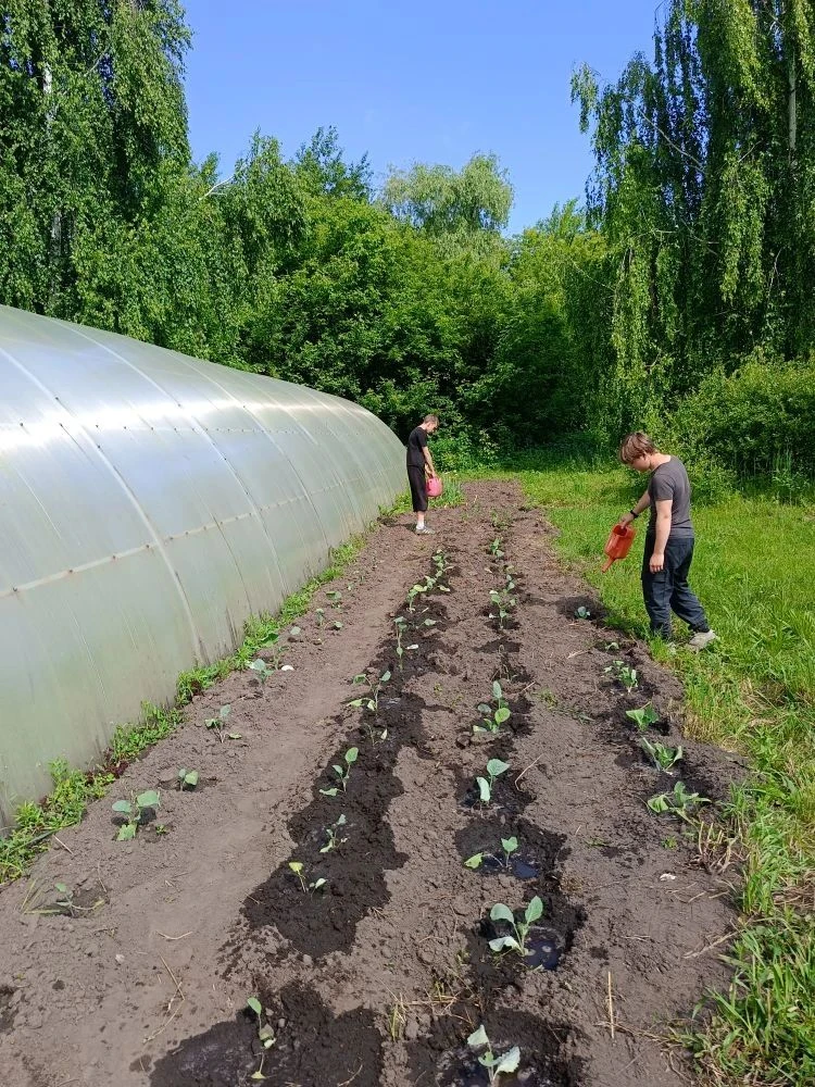 🌿 В День России трудовой лагерь «Добрый росток» отдал дань уважения традициям и памяти.

Ухаживая з